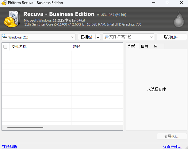 Recuva Business Editionͼ1