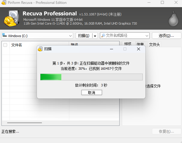 Recuva Professionalͼ2
