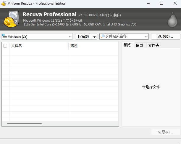 Recuva Professionalͼ1