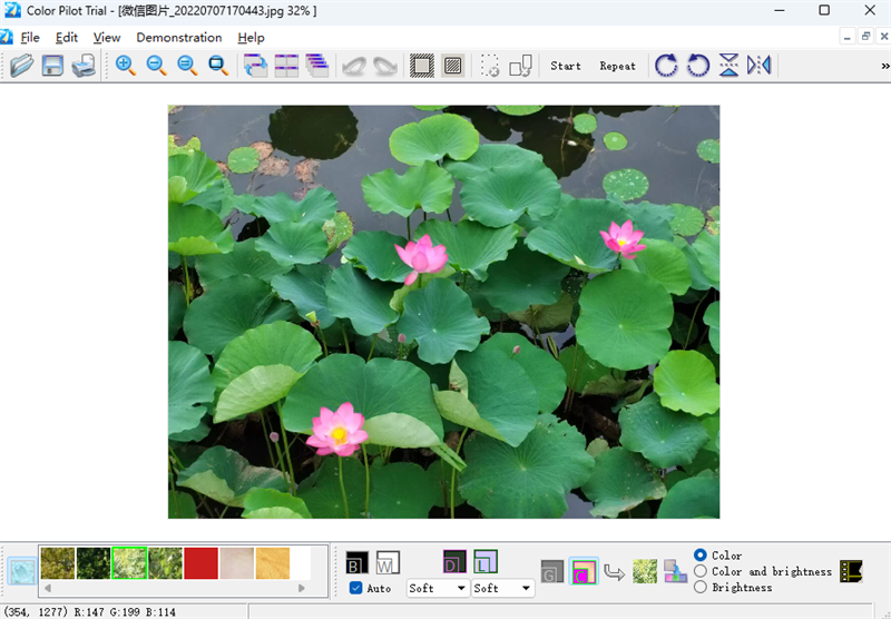 Color Pilotͼ2