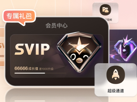 ѸʲôVIP