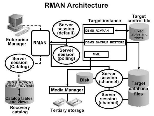 oracle rmanȫݶʧô