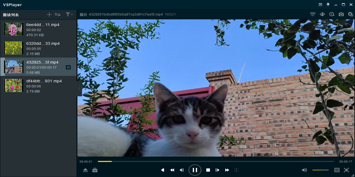 VSPlayer64λͼ2