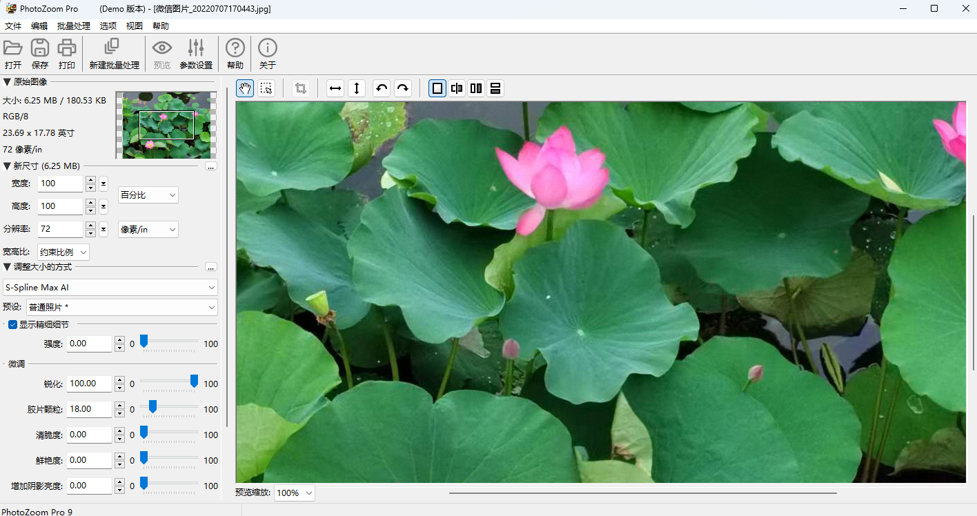 PhotoZoom Pro Macͼ3