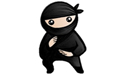 System Ninja