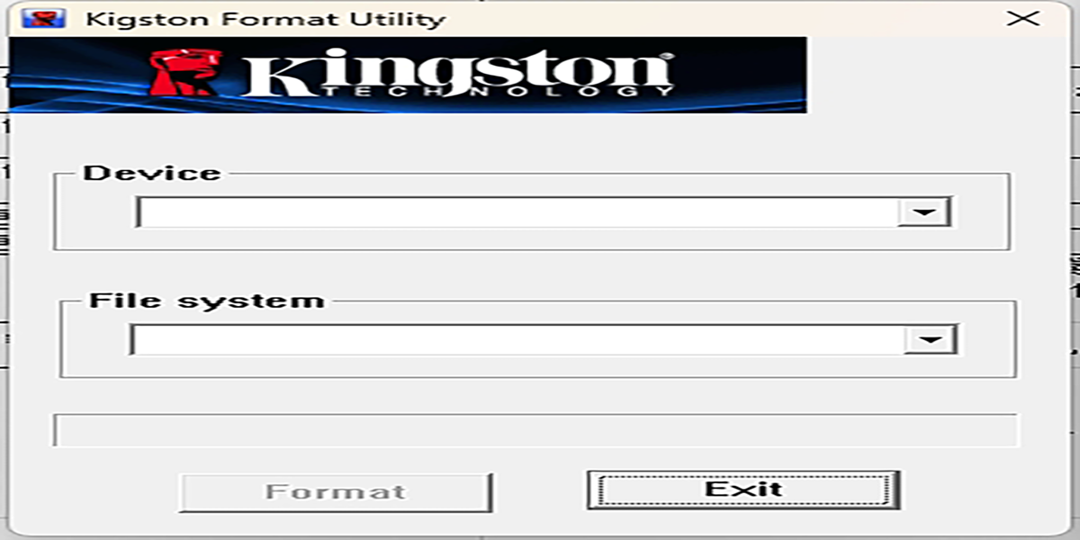 Kingston Format Utilityͼ1