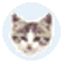 EF File Catalogv20.07ٷʽ