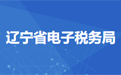 辽宁省电子税务局客户端