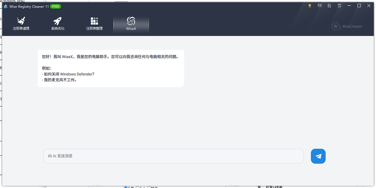 Wise Registry Cleanerwindowsͻ˽ͼ