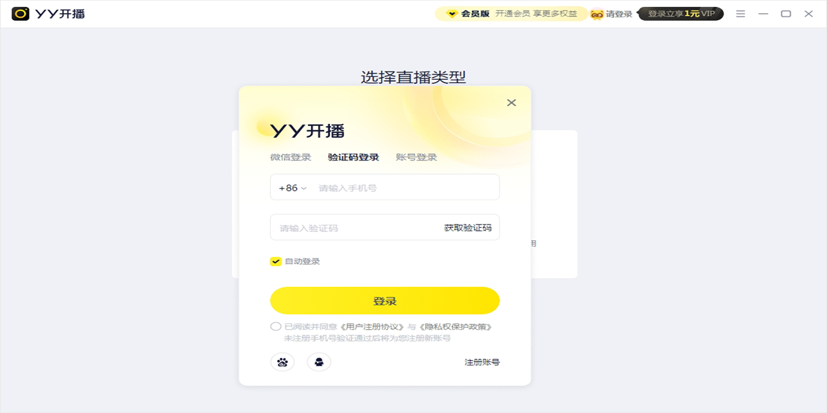 YYͼ1