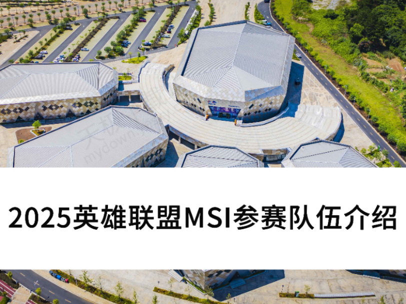 2025ӢMSI_ӢMSI