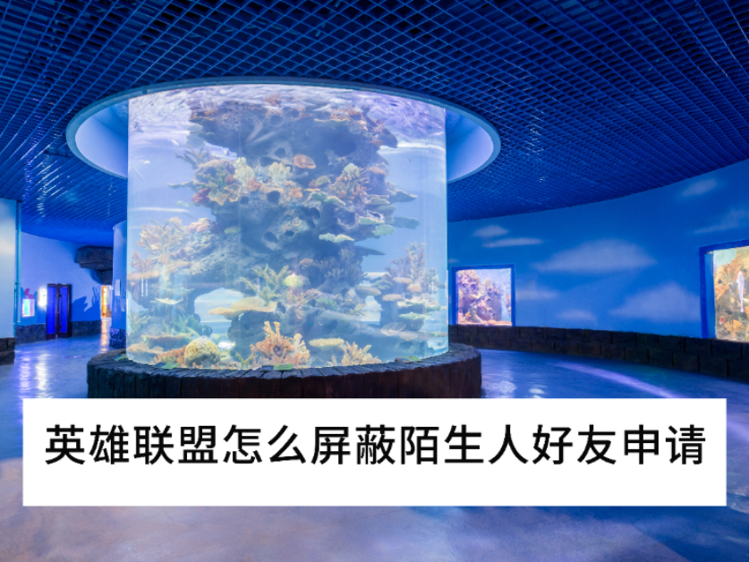 2025英雄联盟怎么屏蔽陌生人好友申请_一键拒绝添加好友方法