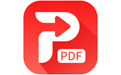 PDF