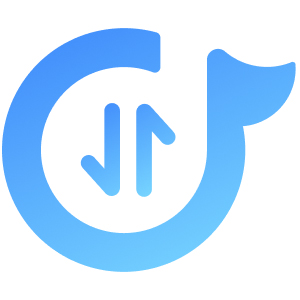 ������Ƶת����ʦ