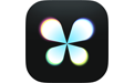 Chatterfly