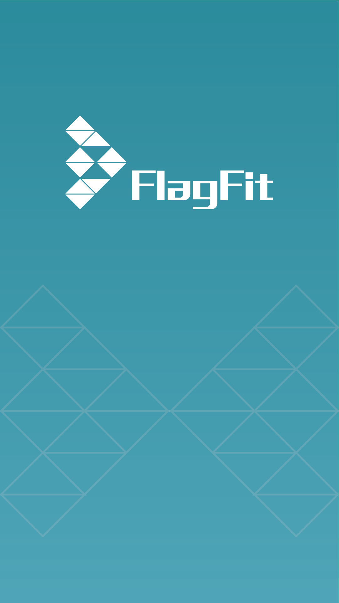 FlagFitͼ4
