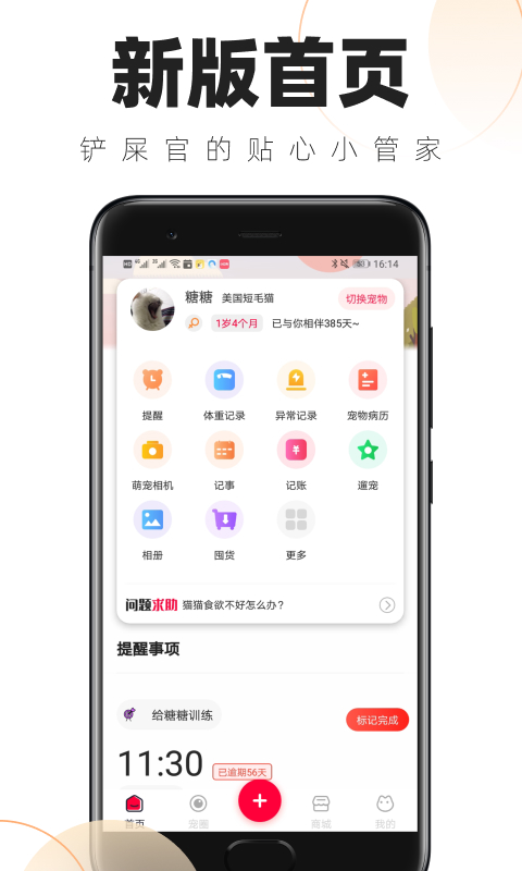 ʺٵճͼ1