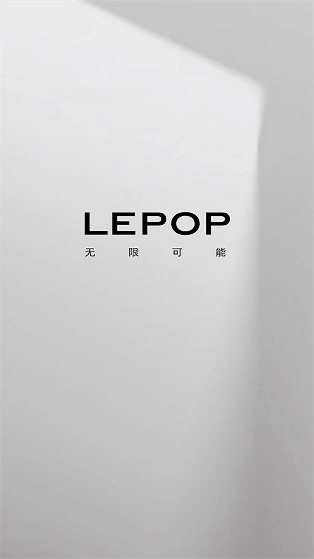 LEPOPͼ1