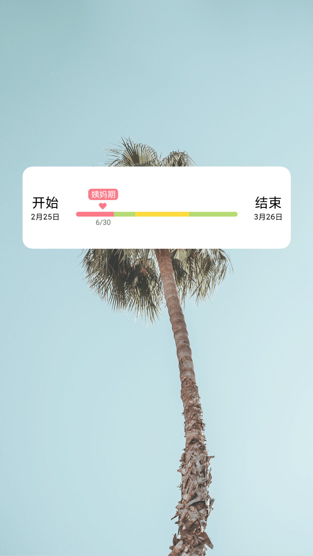 ͼ5