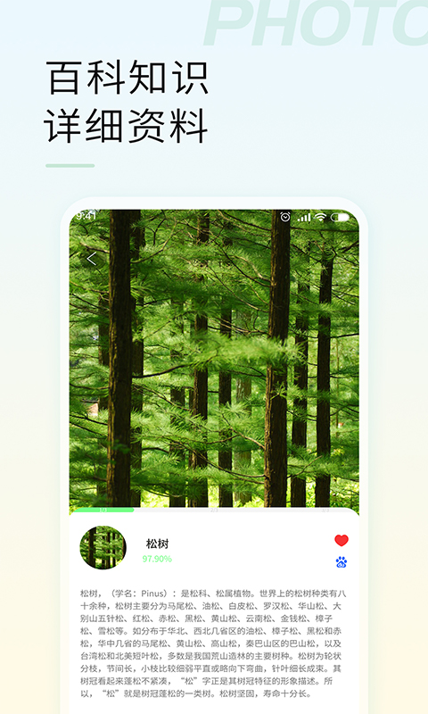 ʶͼ4