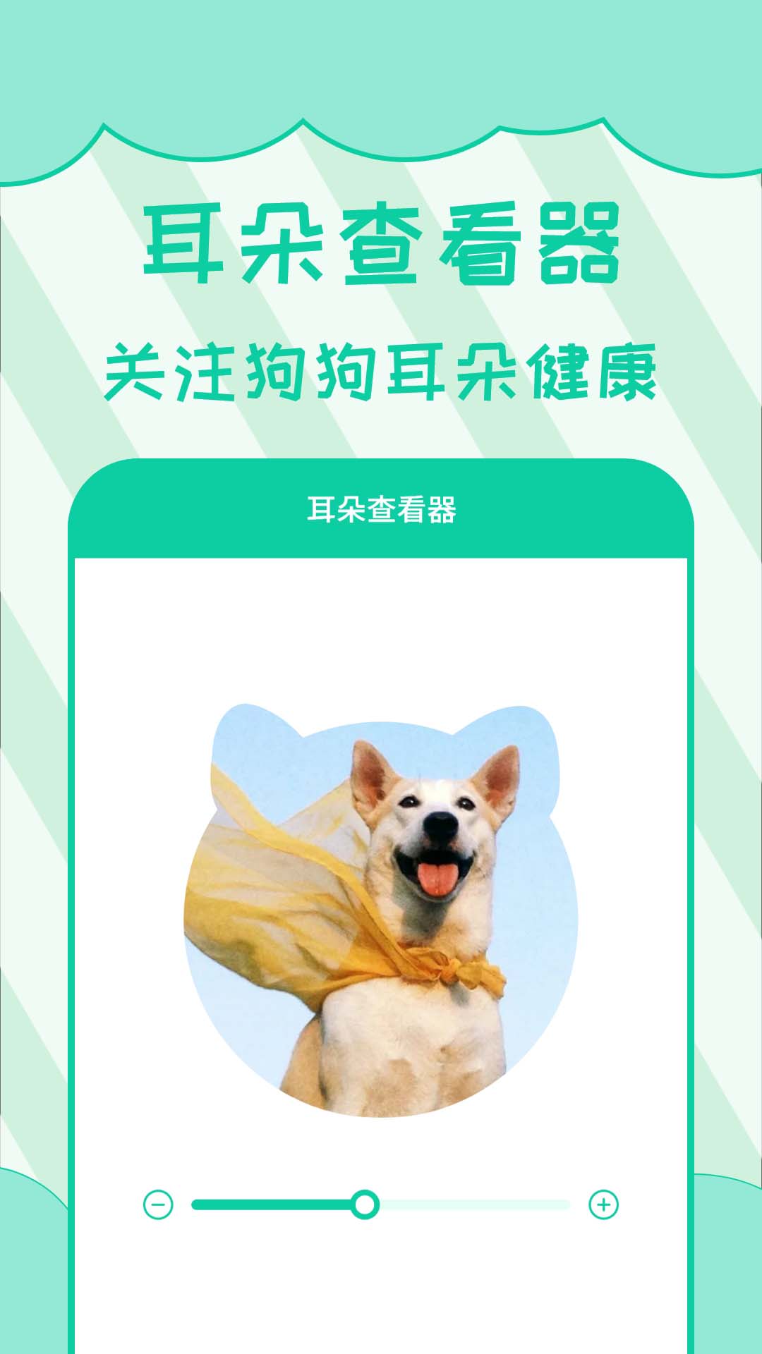 ˹ͼ5