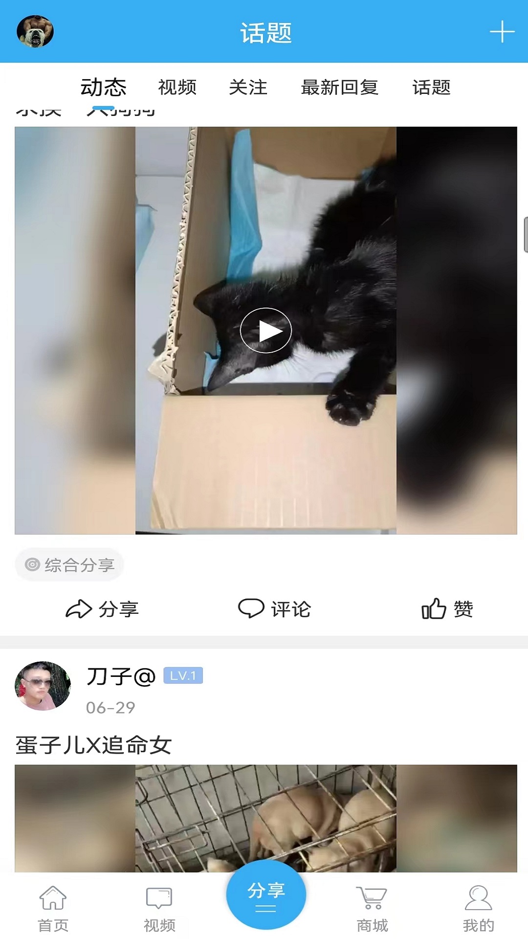 Ȯֲͼ4