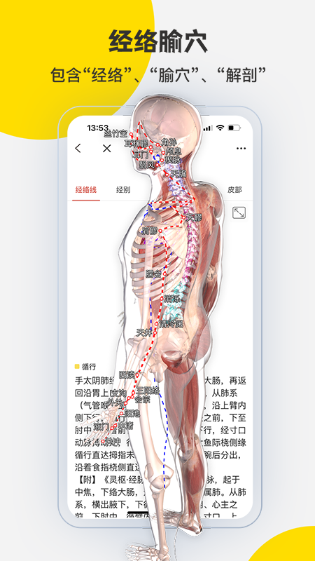 3DBodyʽͼ4