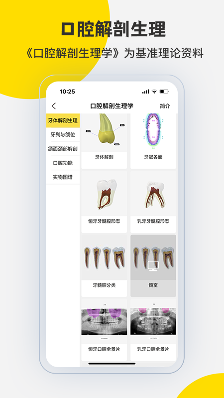 3DBodyʽͼ5