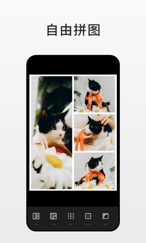Fotorͼ4