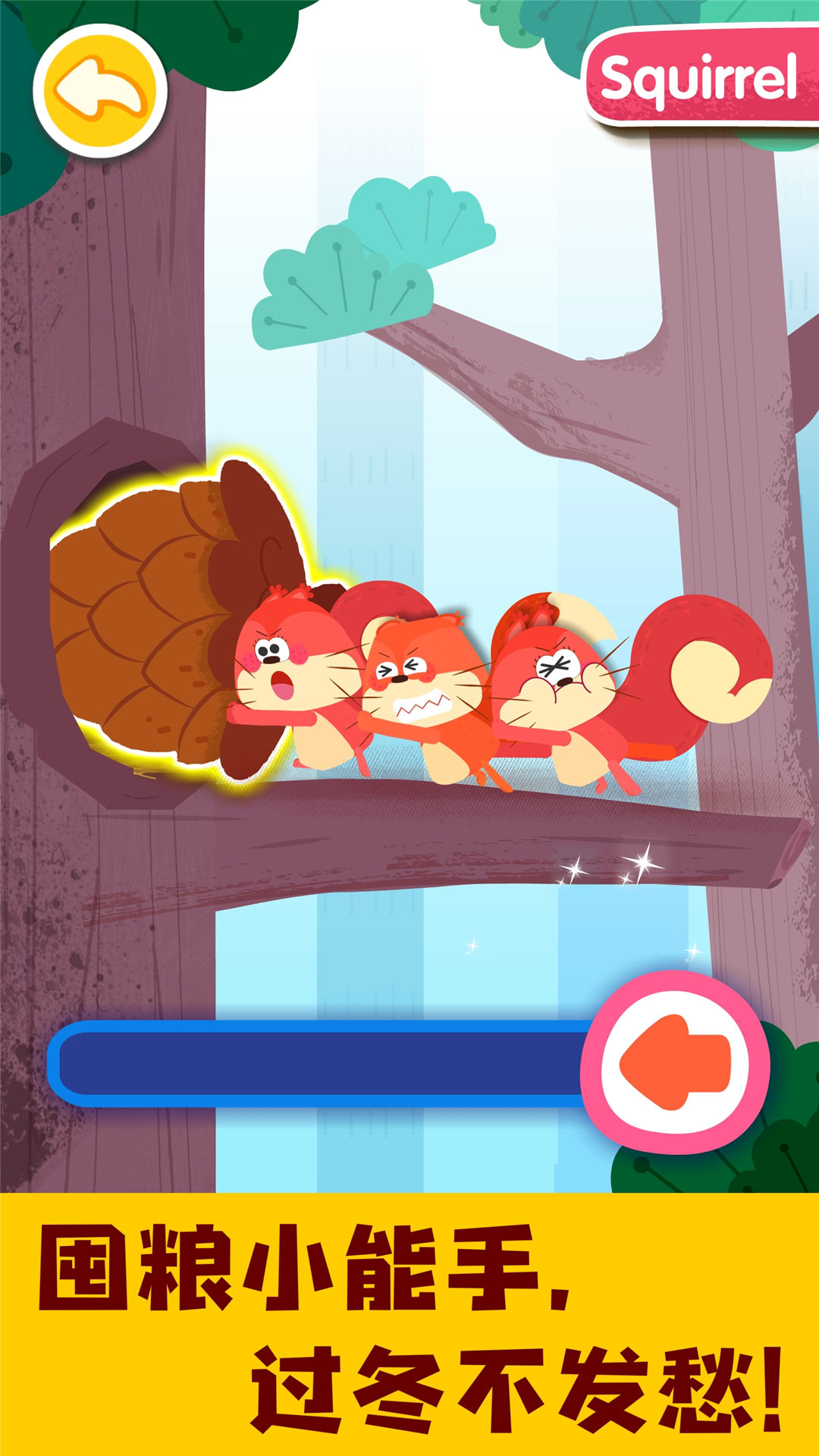 ͼ5