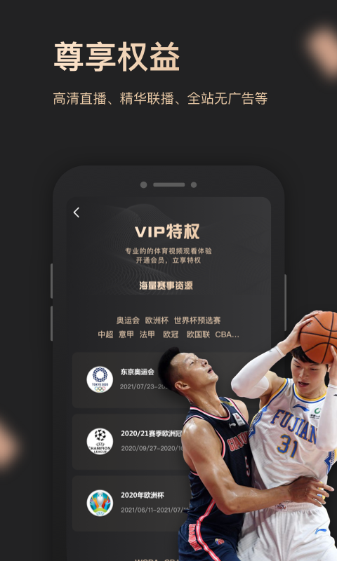VIPͼ5