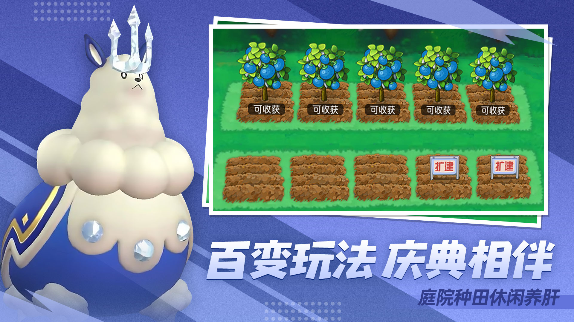 ڴͼ5