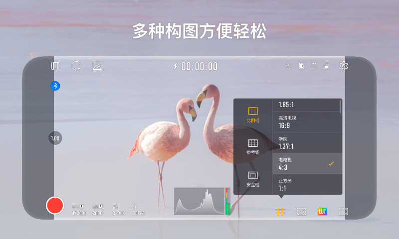 StaCamͼ5