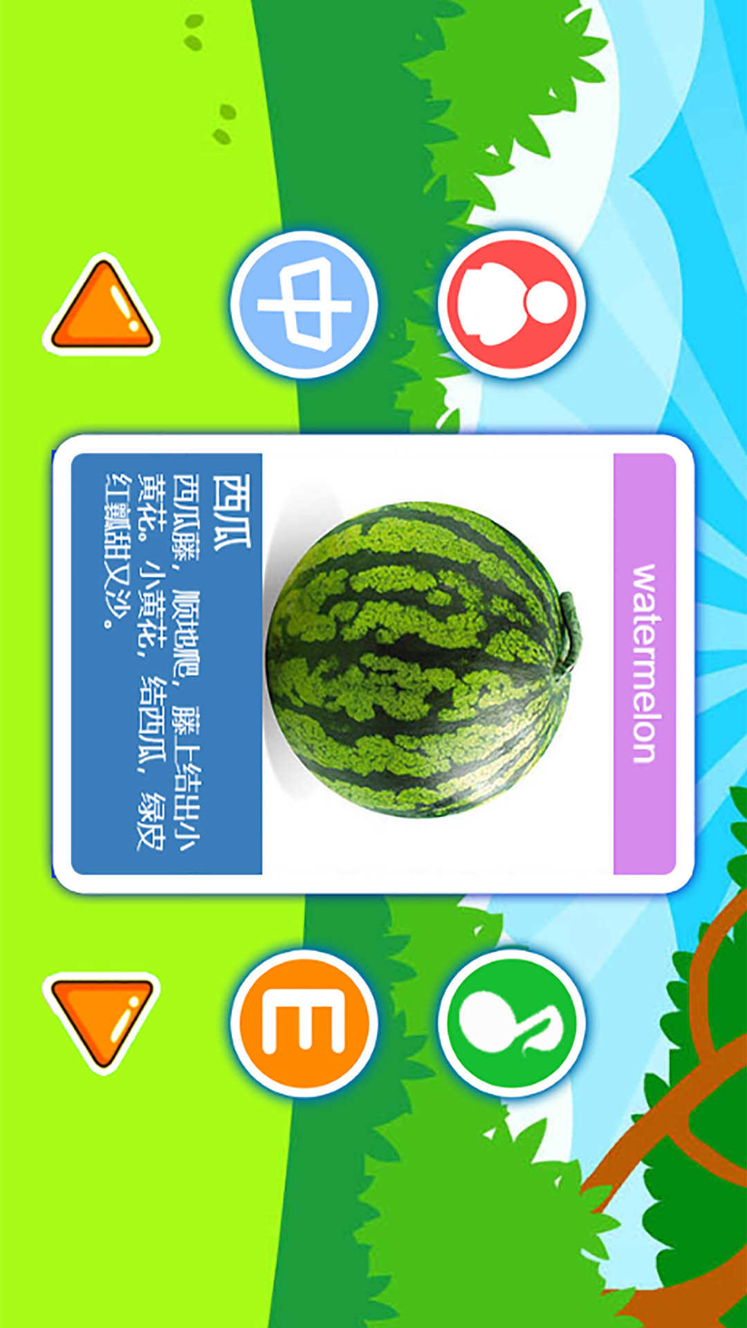 ͯˮͼ1