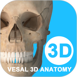 ά3Dv6.8.1ٷʽ