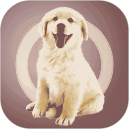 ˹v2.0.8ٷʽ