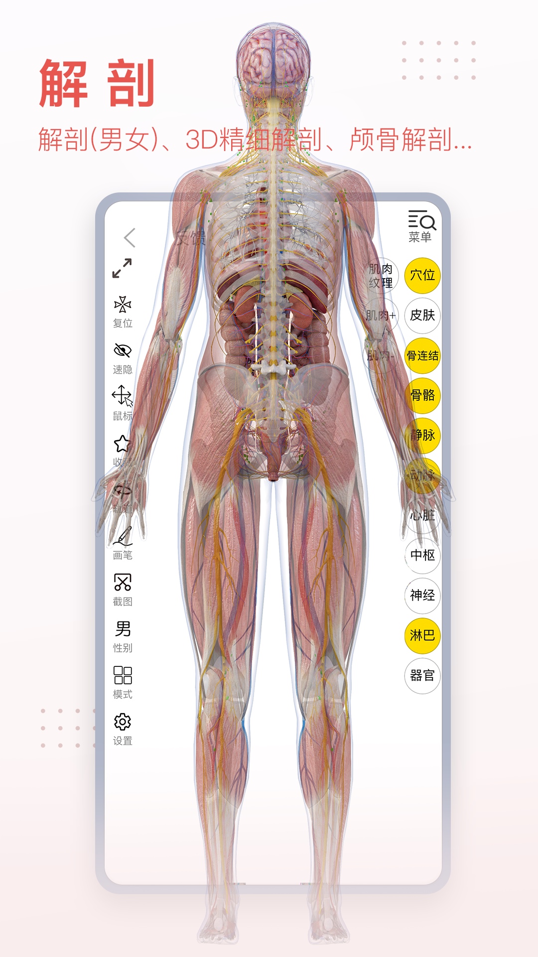 3Dbodyappͼ