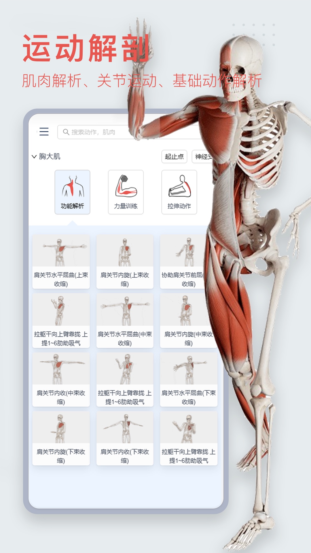 3Dbodyappͼ